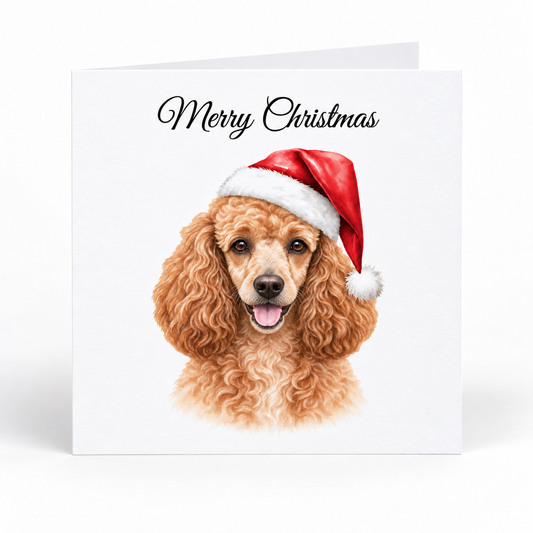 A square white Christmas greeting card featuring a portrait of a curly-haired brown poodle dog wearing a red Santa hat, with the words 'Merry Christmas' in black script at the top.