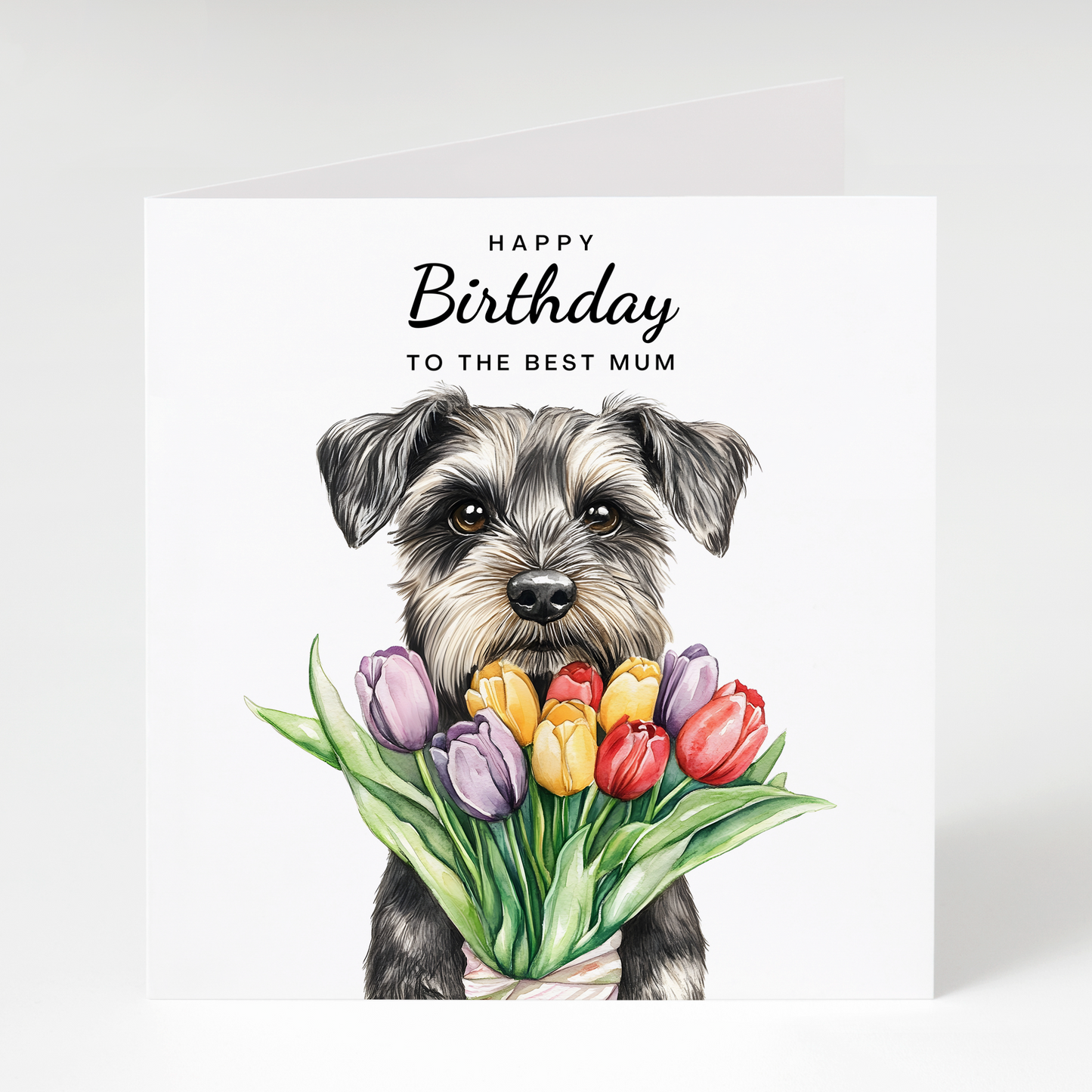 schnauzer birthday card for Mum featuring a salt and pepper miniature schnauzer with tulips