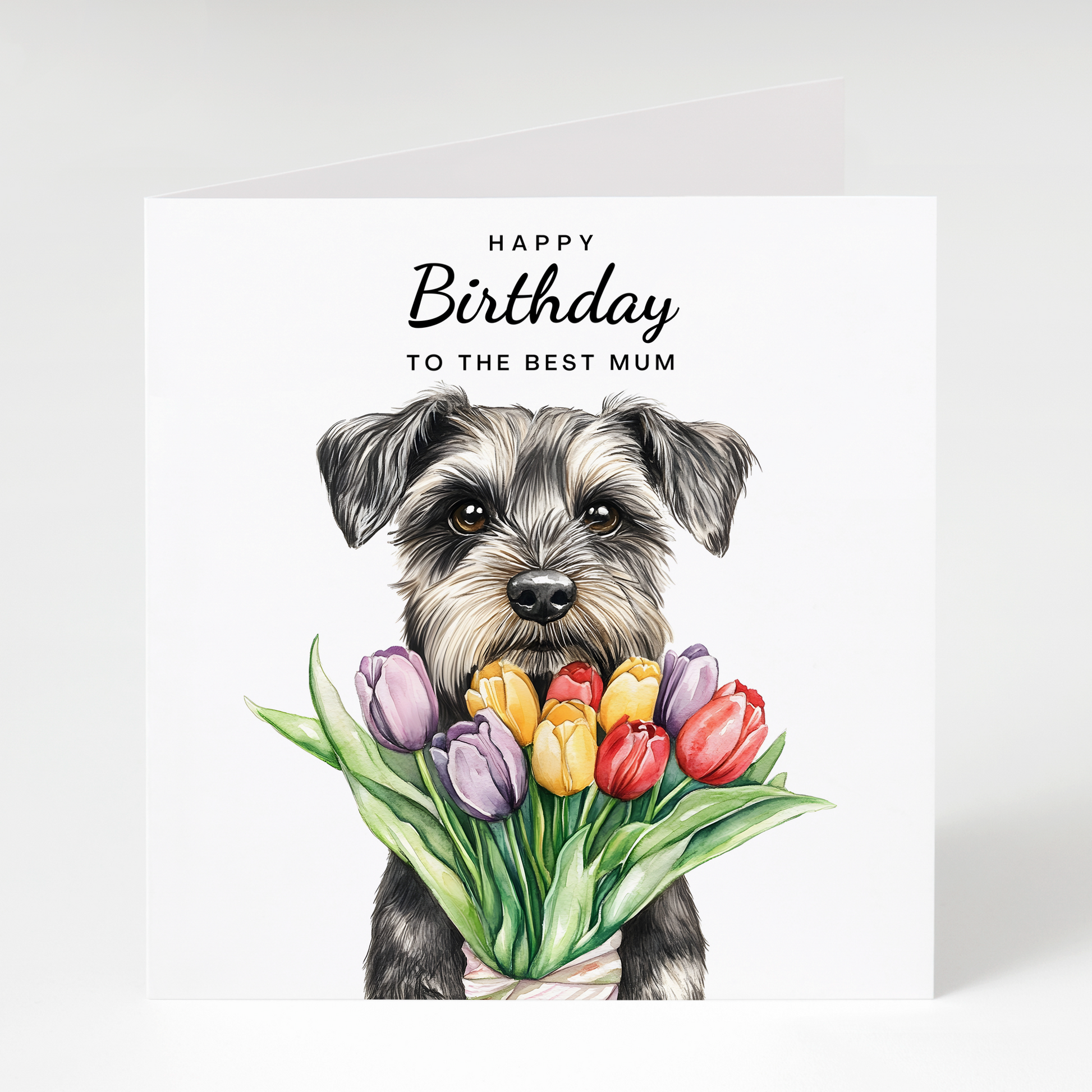 schnauzer birthday card for Mum featuring a salt and pepper miniature schnauzer with tulips