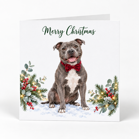 A square Christmas greeting card featuring Staffordshire bull terrier dog wearing a red bow tie, seated in snow with greenery and red berries on both sides. The card reads 'Merry Christmas' in dark green script at the top.