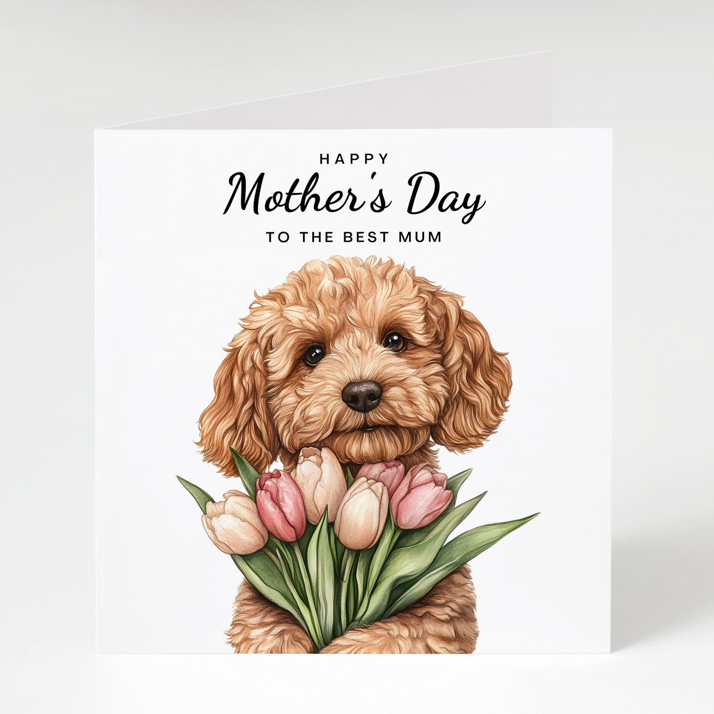 Tan Cockapoo with Tulips Mother's Day Card