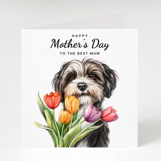 Tibetan Terrier with Tulips Mother's Day Card