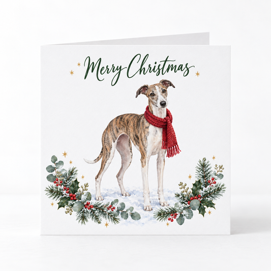A square Christmas greeting card featuring an illustrated greyhound whippet  dog wearing a red scarf, surrounded by green holly and evergreen garlands with red berries on a white background. The card reads 'Merry Christmas' in dark green script with small gold stars.