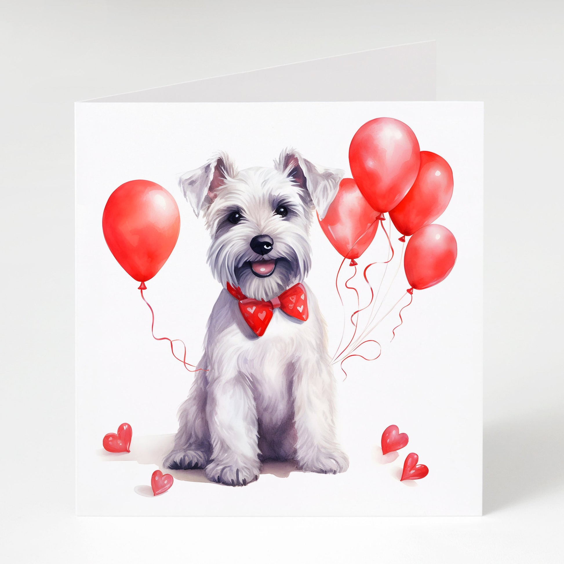 White Schnauzer valentine's Day card, 